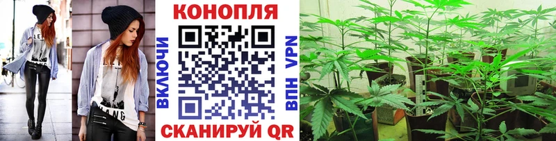  Cocaine Грозный