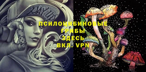 ALPHA PVP Богородицк