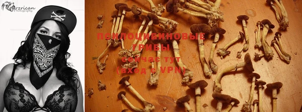 бутик Богданович