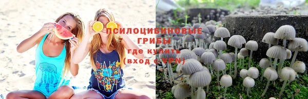 ALPHA PVP Богородицк