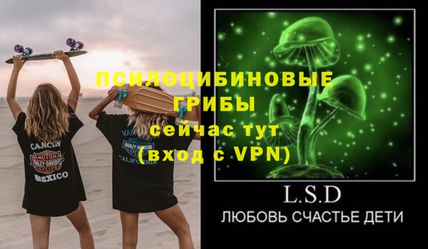 ALPHA PVP Богородицк