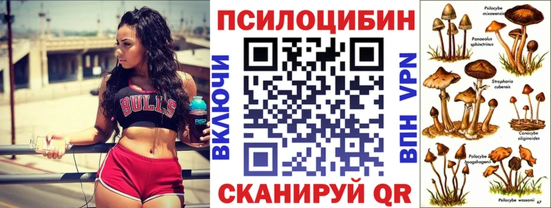 Псилоцибиновые грибы Psilocybe  магазин  наркотиков  Грозный 